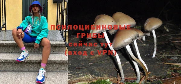 прущие крисы Лабытнанги