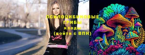 соль ск Абинск