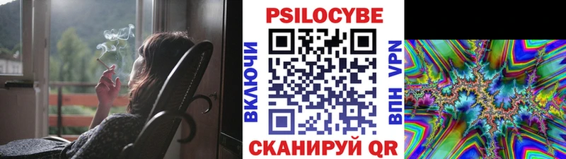 где найти   Шахты  Галлюциногенные грибы MAGIC MUSHROOMS 